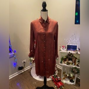 ✨Zara (NWOT) Animal Print Long Blouse✨